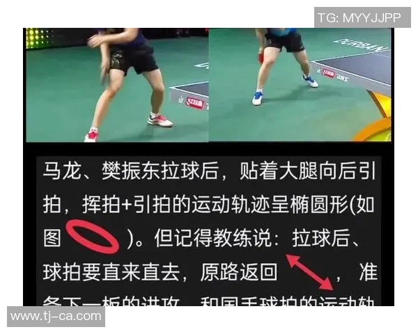 乒乓球焦点：杭州乒乓球队的灵活性探讨